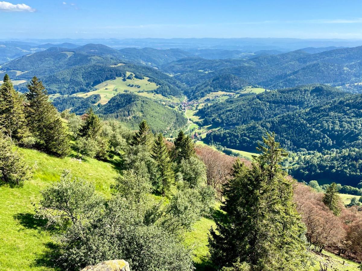 Ferienwohnung Zur Bierliebe - Mit Toller Aussicht Im Herzen Des Schwarzwaldes Hornberg Eksteriør billede