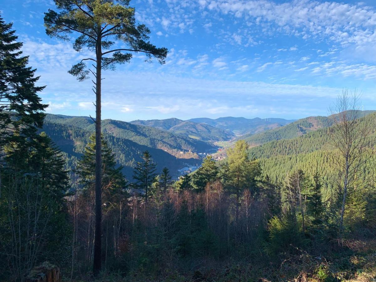 Ferienwohnung Zur Bierliebe - Mit Toller Aussicht Im Herzen Des Schwarzwaldes Hornberg Eksteriør billede